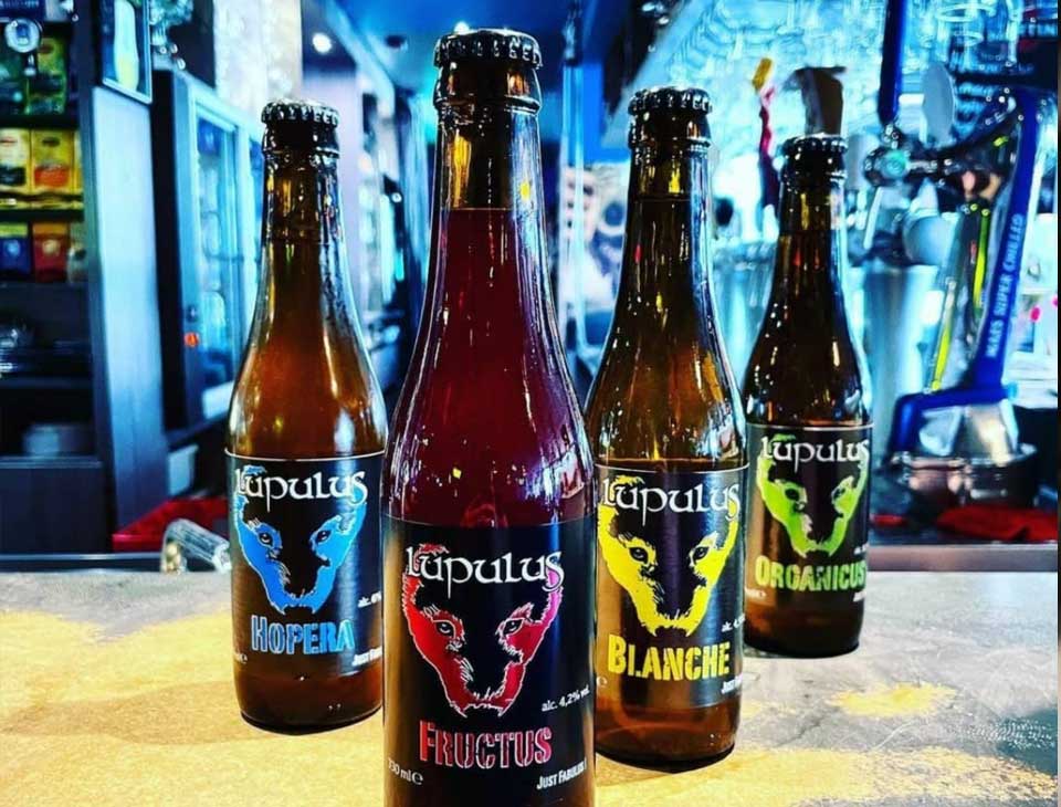 Brasserie Lupulus