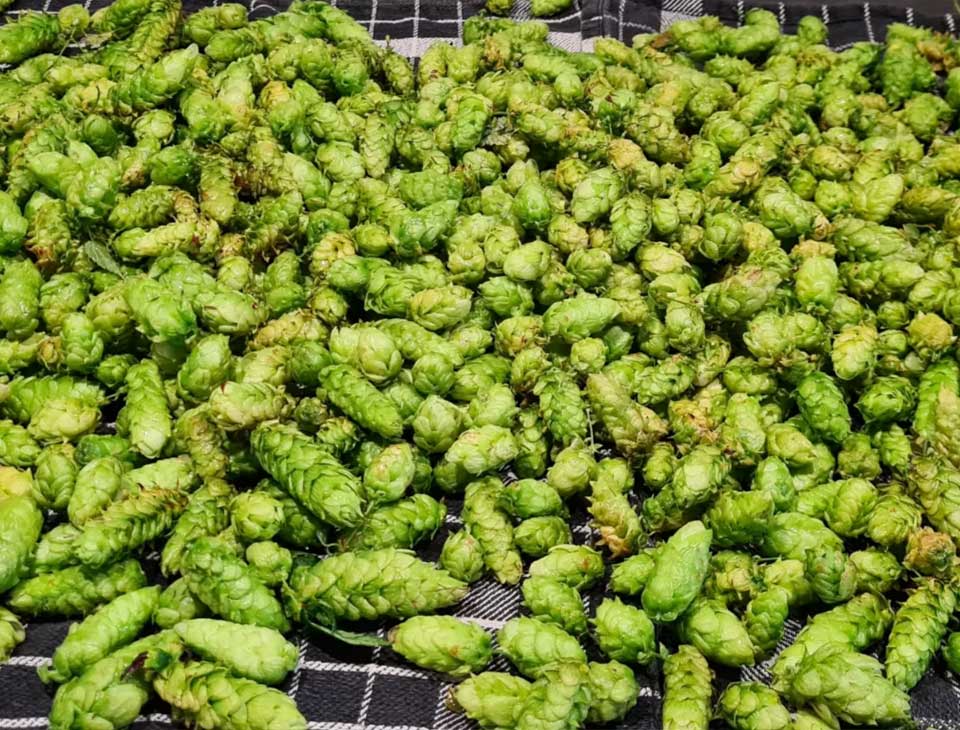 Brouwerij Logister